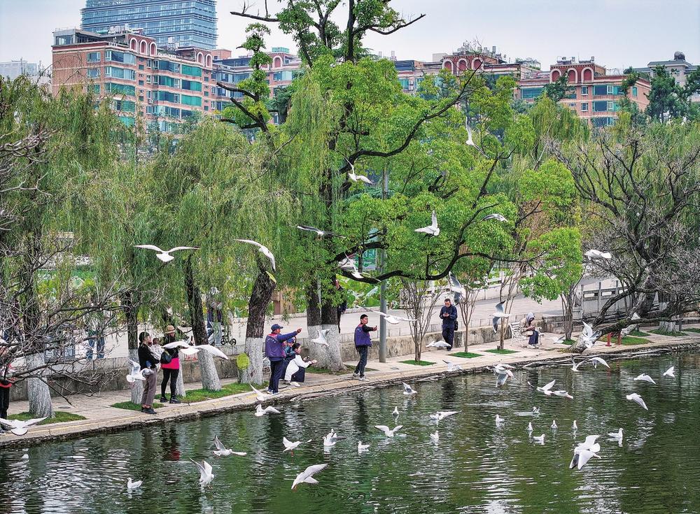 7db29e0a-2581-4cd4-ac16-dd7d7b6da58c