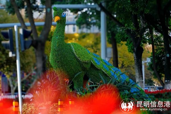 20241107_174135_003 20241107_174135_003