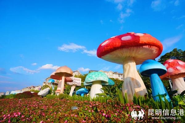 20241107_174135_005 20241107_174135_005