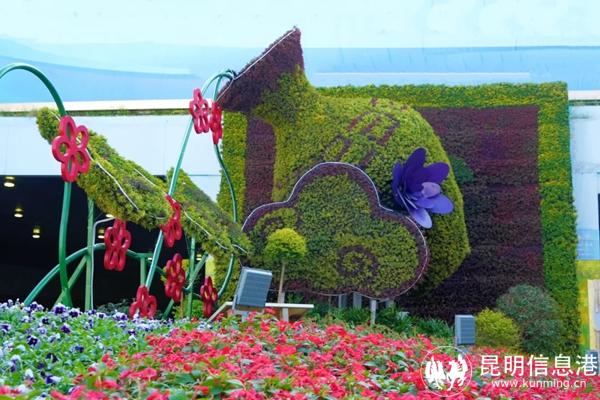 20241107_174135_007 20241107_174135_007