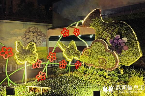 20241107_174135_008 20241107_174135_008