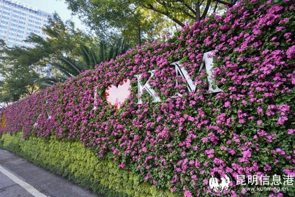 20241107_174135_013 20241107_174135_013