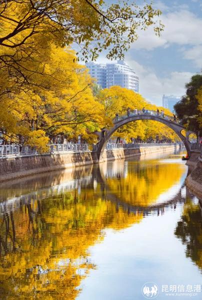 20241107_174135_015 20241107_174135_015