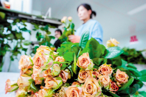 82501732729335589 82501732729335589