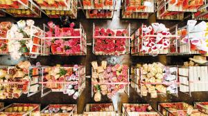 67271732729335589 67271732729335589