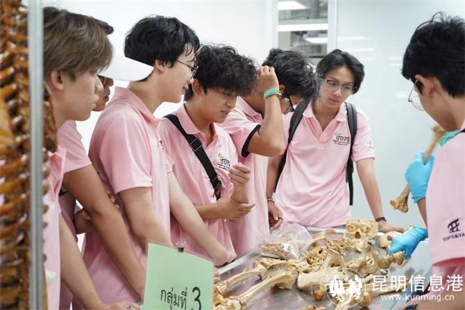 微信圖片_20241129145218 微信圖片_20241129145218