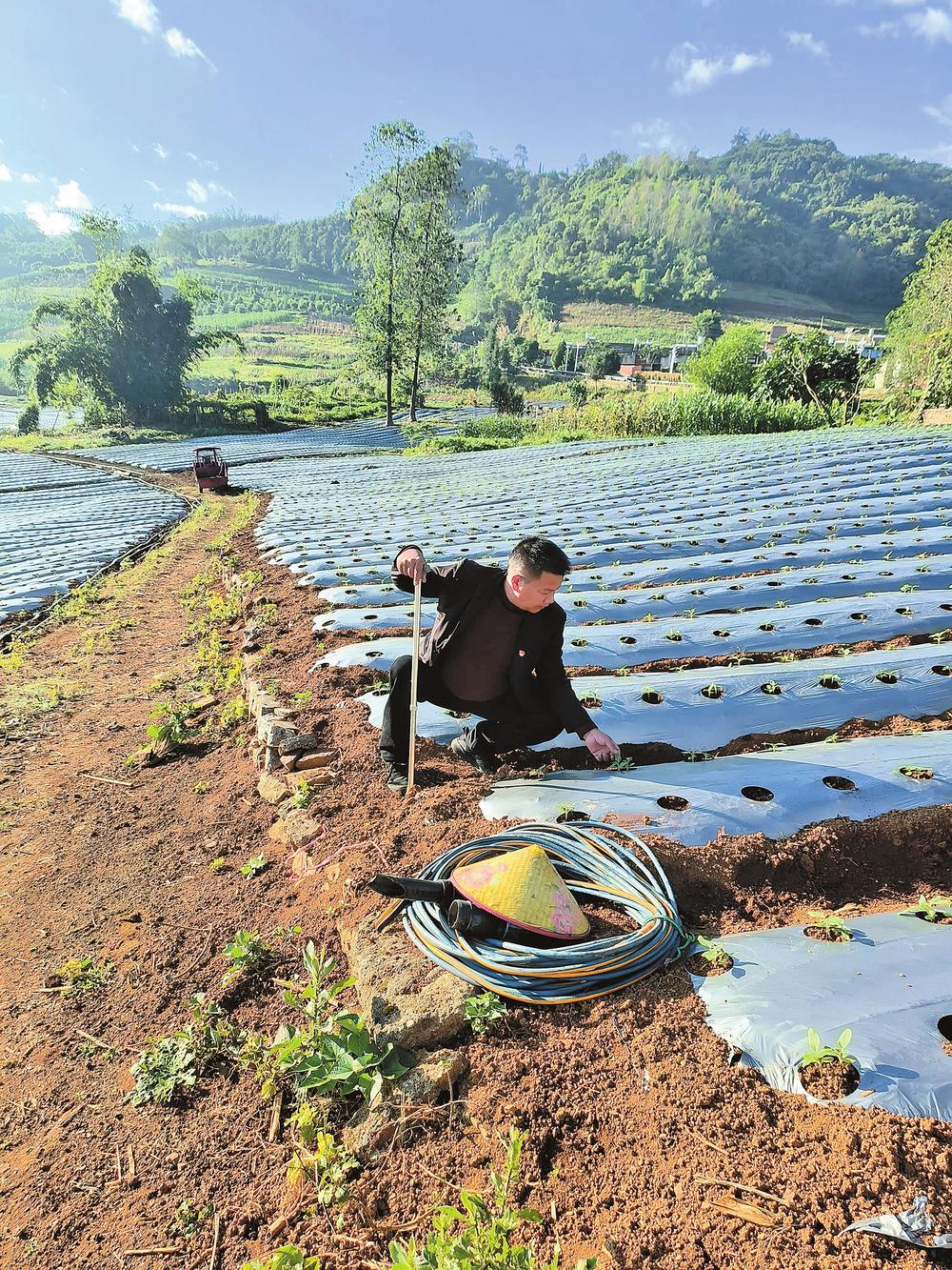 fd6759be-801b-4a1d-9e07-8b374d14862f fd6759be-801b-4a1d-9e07-8b374d14862f