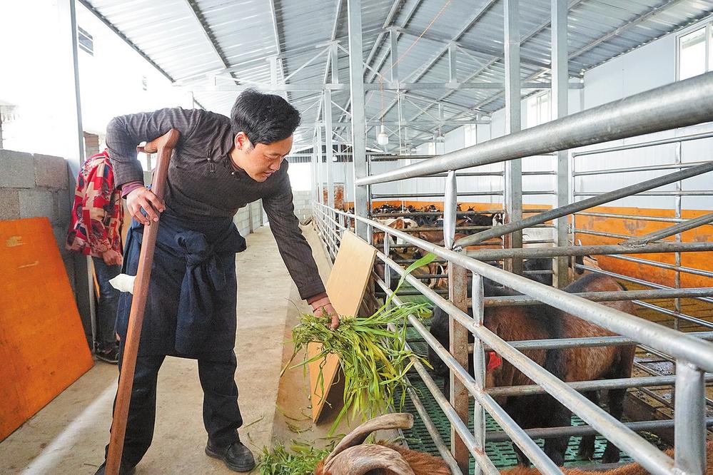 53170f89-788d-4f0d-a388-4adab37af2b6