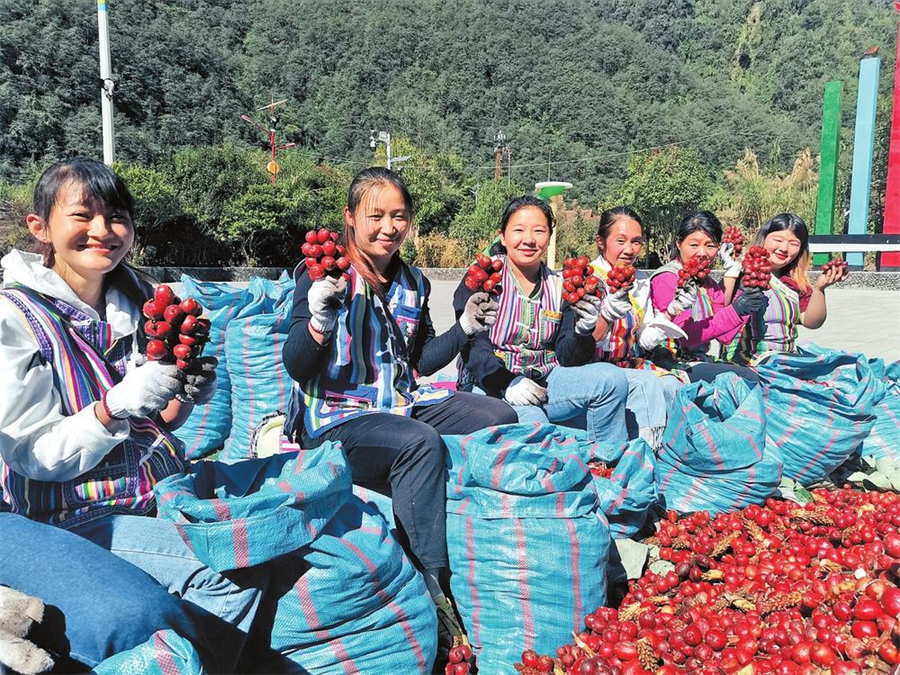 微信圖片_20241203081125 微信圖片_20241203081125