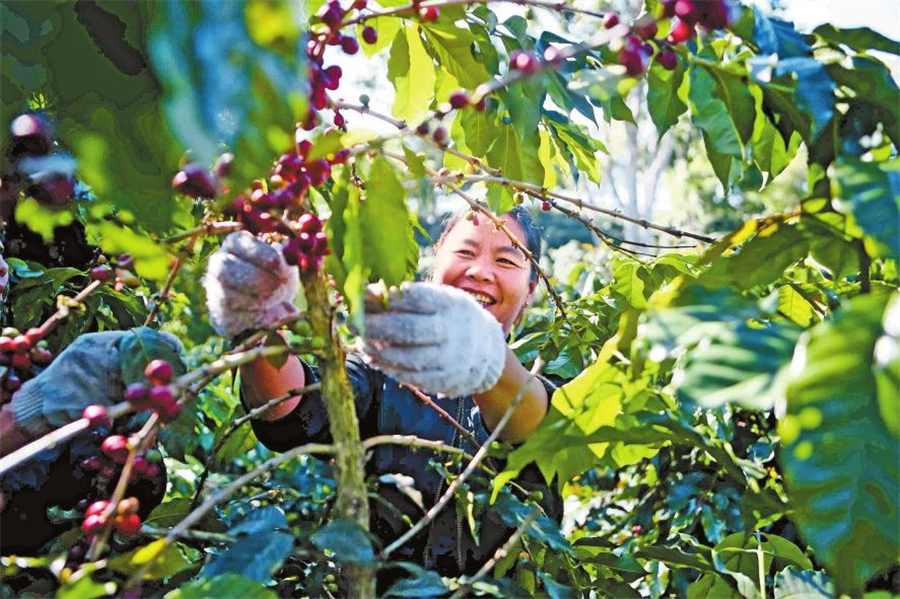 微信圖片_20241203081533