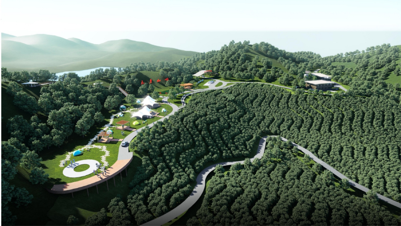 1733282207381975.png 42.png