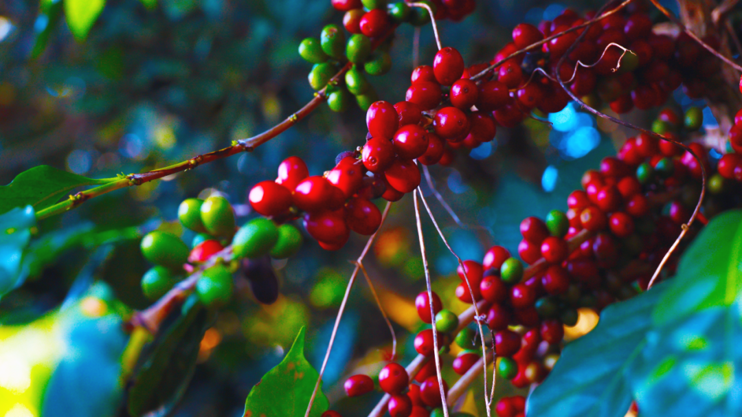 1733282219255465.png 33.png