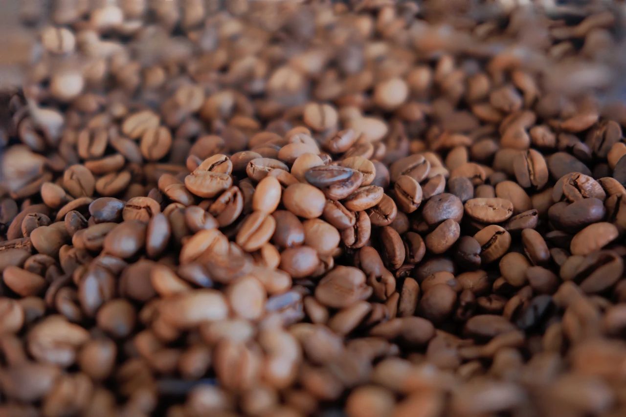 1733282391484618.jpg 38.jpg