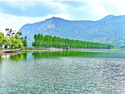 QQ20241216-162345 QQ20241216-162345