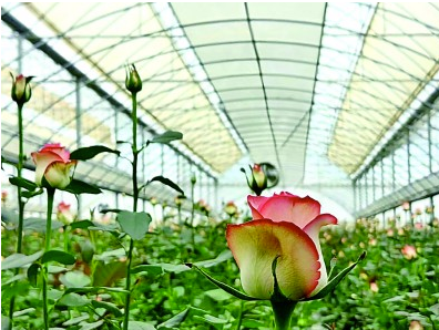 QQ20241216-162355 QQ20241216-162355