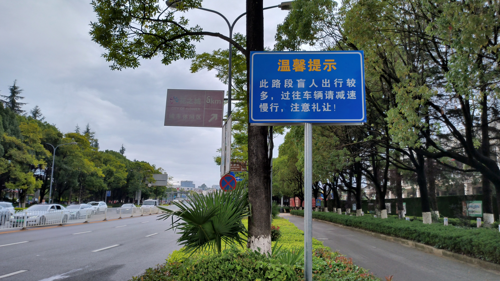 設(shè)置在博海路與白龍路丁字路口的提示牌(1)