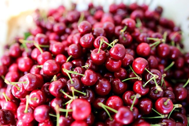 祿豐百畝車?yán)遄印⑷f畝桃園進(jìn)入采摘季