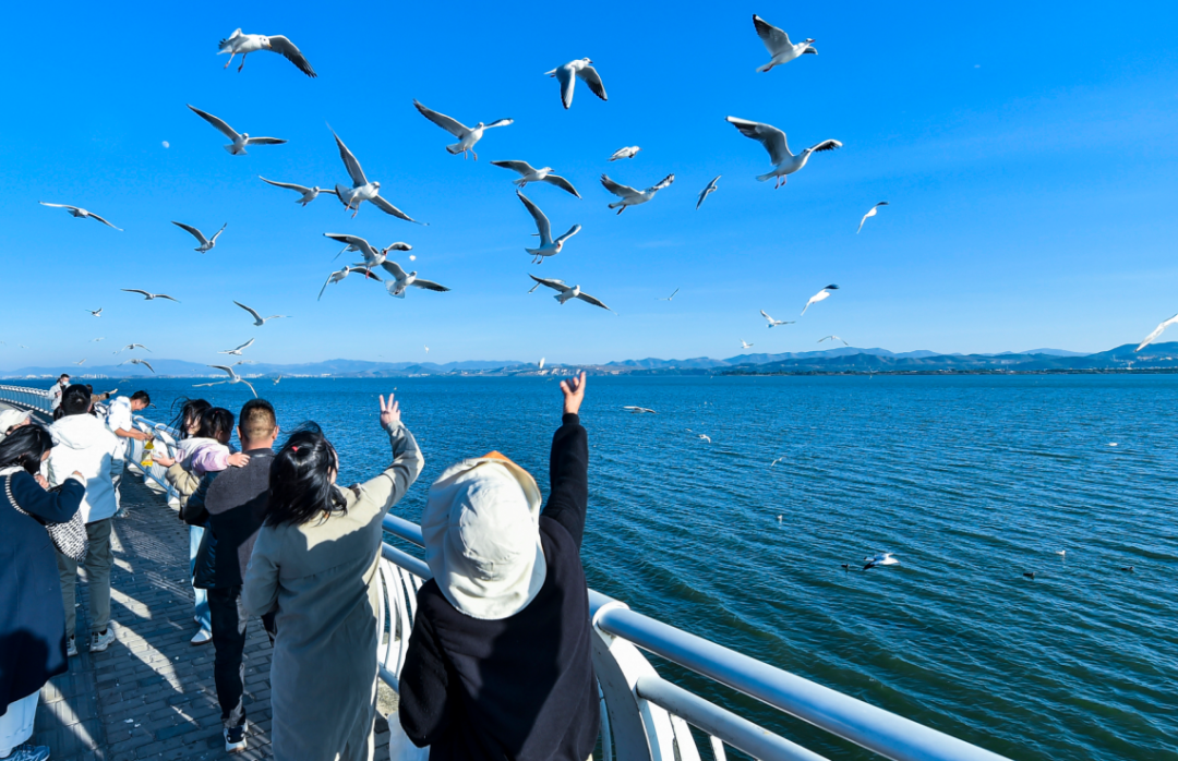 微信圖片_20250108102932