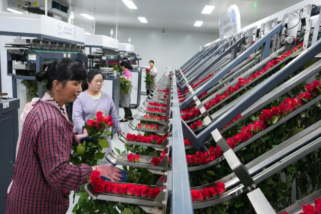 微信圖片_20250108102950