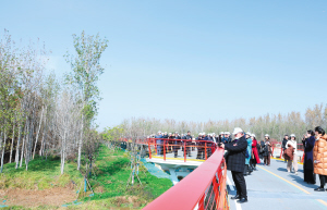 83221736713211689 83221736713211689