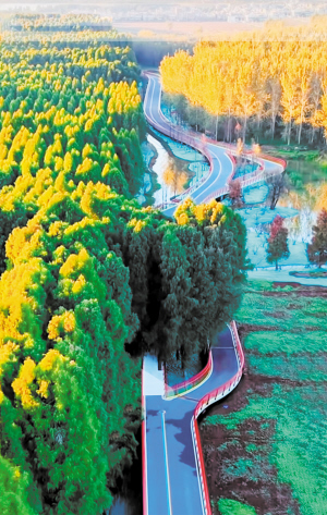 81811736713211689 81811736713211689