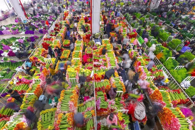 昆明（圖據(jù)掌上春城）