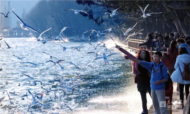 昆明（圖據(jù)掌上春城）