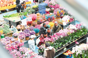 47001737407121807 47001737407121807