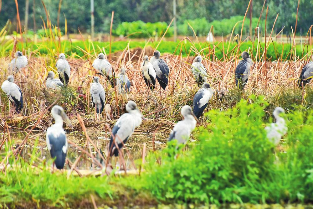 企業(yè)微信截圖_17395856523496