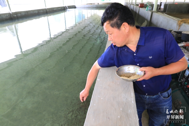 保育珠江水系珍稀魚類，云南曲靖的這名“魚癡”守護土著魚25年（開屏新聞記者蔣瓊波攝影報道）