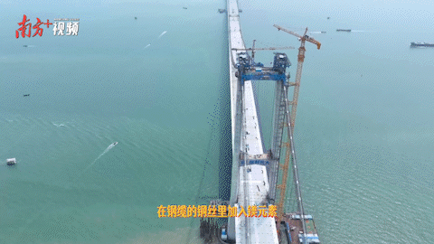 南方+ 金鏑 拍攝