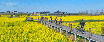 1050120250307000182692 1050120250307000182692