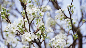 78201742136896433 78201742136896433