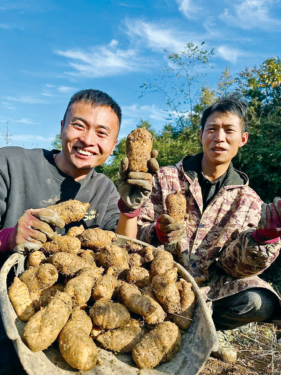 b08001edf12a7d6899814badfd9edb5d