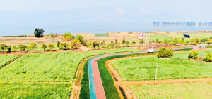 45861743444729060 45861743444729060