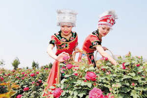 28701743530971451 28701743530971451