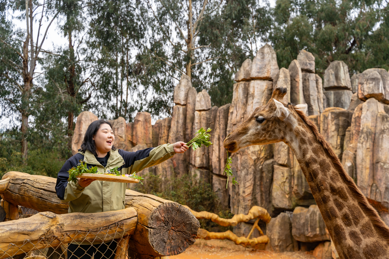 6e757b847184539240f71b531074d02e