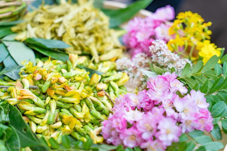 8d1fa82a2574d4524f283a759e58d1d6