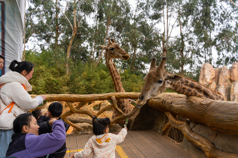 1c51ee00635422b0cbb5d25d90051ad4