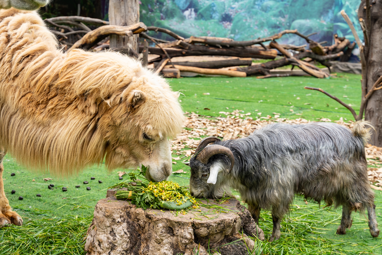 bc7c2ca0a8af758bf34c3cf1e8838ec9