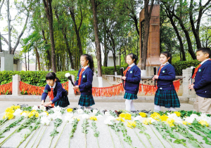 49961743619261203 49961743619261203