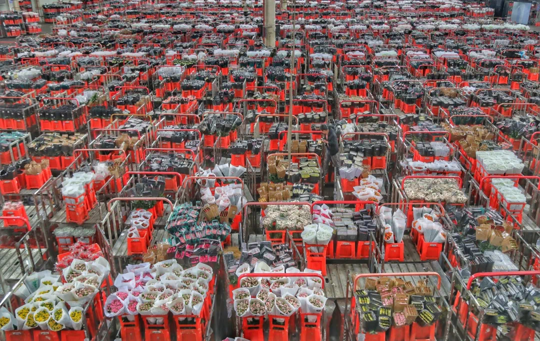 斗南照片備選 (2).jpg