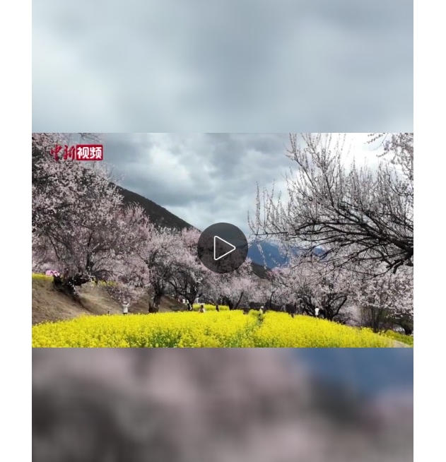 微信截圖_20250403191430