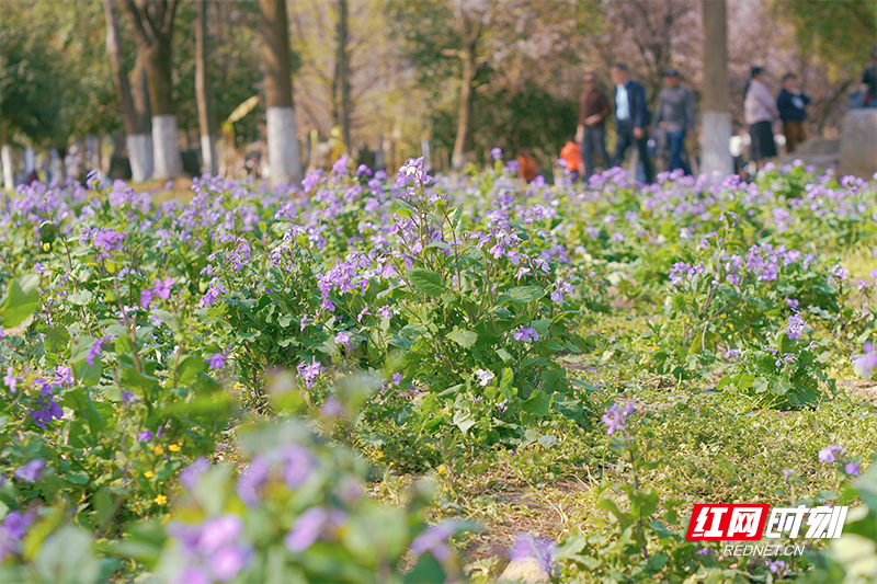 1742381466108-lyt1hp2z4kp.png 1742381466108-lyt1hp2z4kp.png