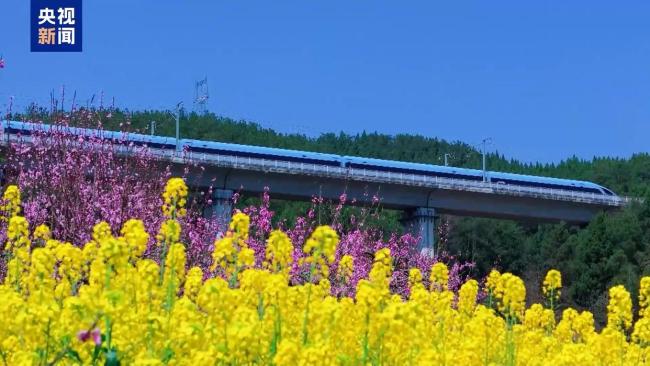 1.26億人次去哪兒了？清明小長假消費“三件套”