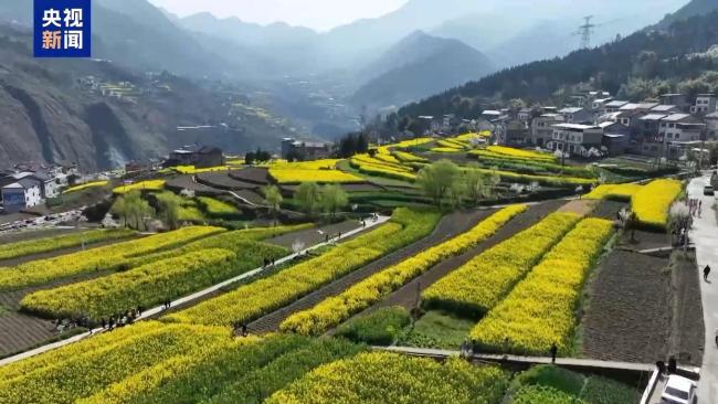 1.26億人次去哪兒了？清明小長假消費“三件套”