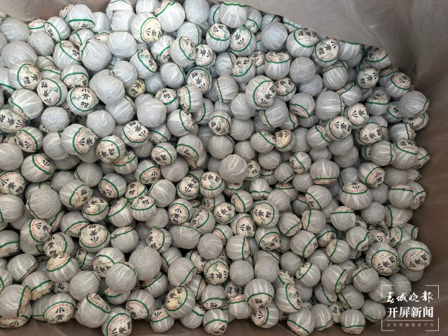 (采訪傳編輯)美好生活在云南 無量山春意盎然采茶忙 (3).jpg