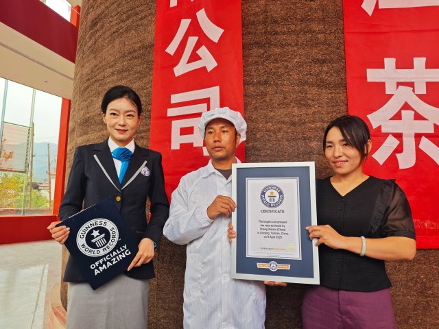 圖片說明：4月9日，臨翔區(qū)重達150.71噸的巨型茶柱正式獲得“世界最大緊壓茶”稱號（2025年4月9日 易思敏攝）.jpg