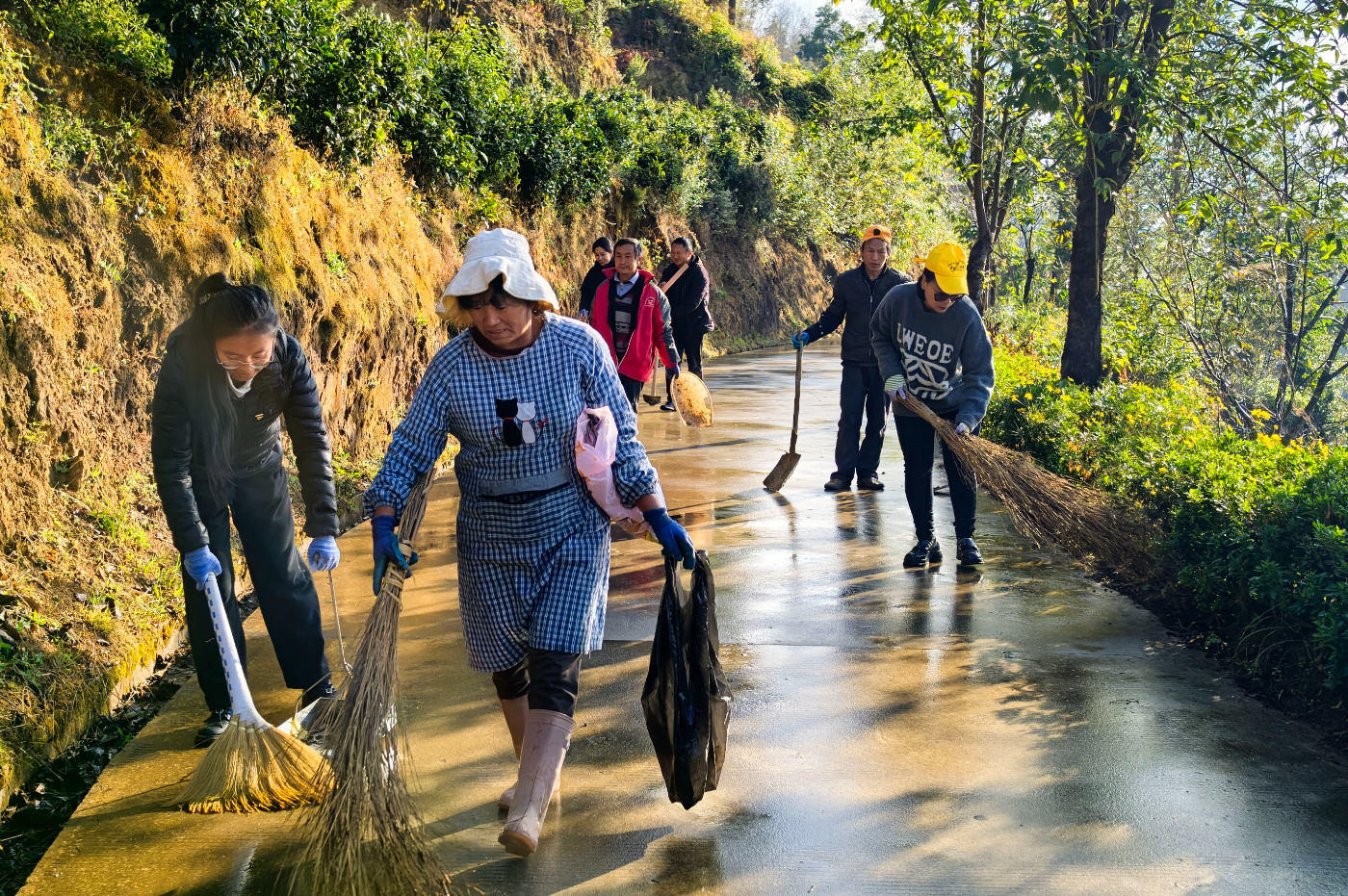 1744354393730806.jpg 22.jpg