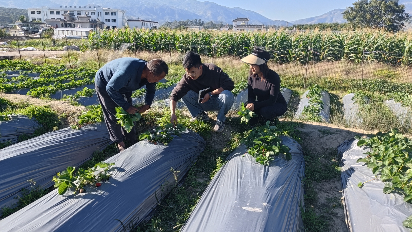 1744354456818026.jpg 25.jpg